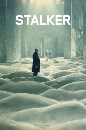 Poster of Stalker