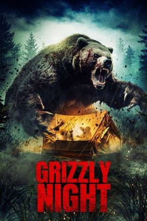 Poster of Grizzly Night