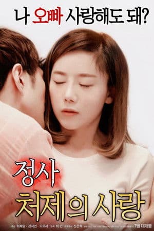 Poster of An Affair: My Sister-in-law's Love