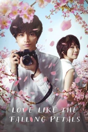 Poster of Love Like the Falling Petals