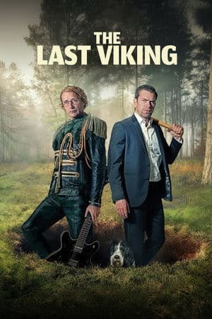 Poster of The Last Viking
