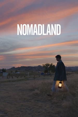 Poster of Nomadland