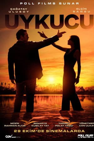 Poster of The Sleeper