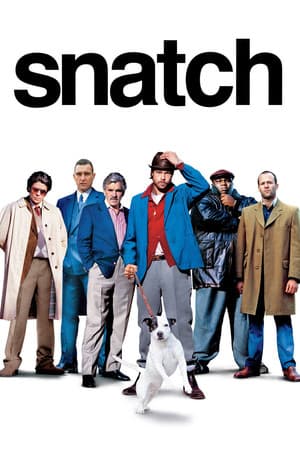 Poster of Snatch