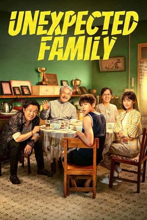 Poster of Unexpected Family