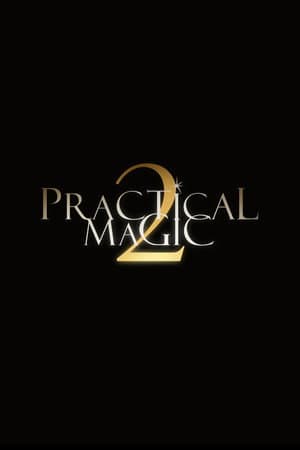 Poster of Practical Magic 2