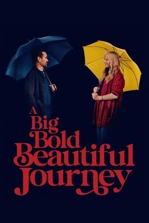 Poster of A Big Bold Beautiful Journey