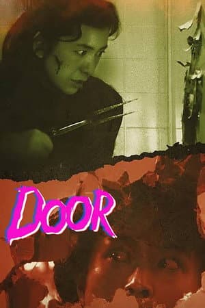 Poster of Door