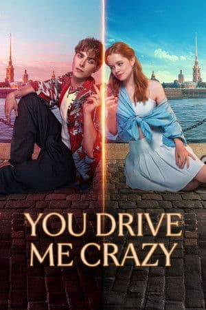 Poster of You Drive Me Crazy