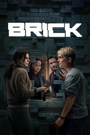 Poster of Brick