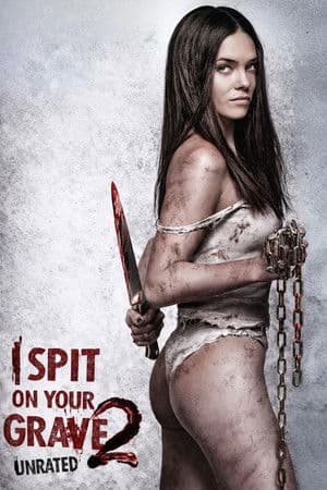 Poster of I Spit on Your Grave 2