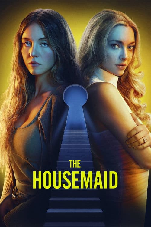 Poster of The Housemaid