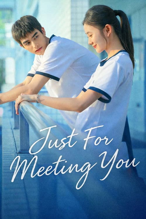 Poster of Just For Meeting You