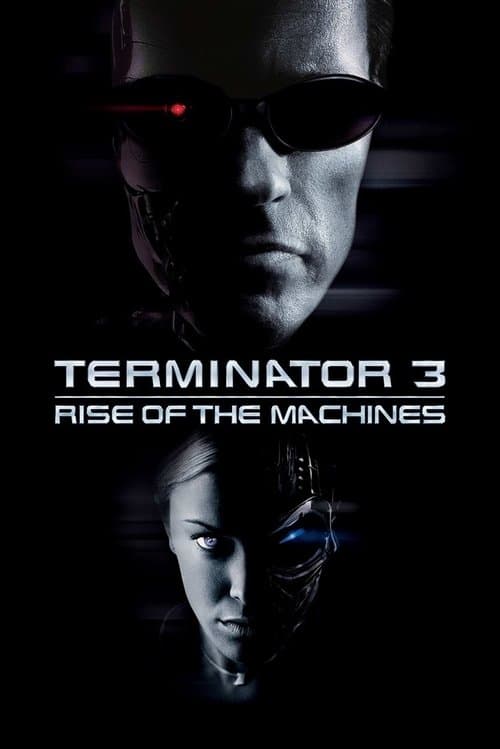 Poster of Terminator 3: Rise of the Machines