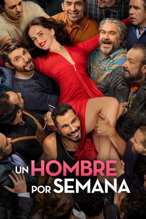Poster of Un hombre por semana