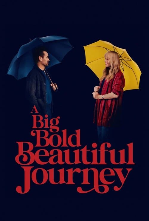 Poster of A Big Bold Beautiful Journey
