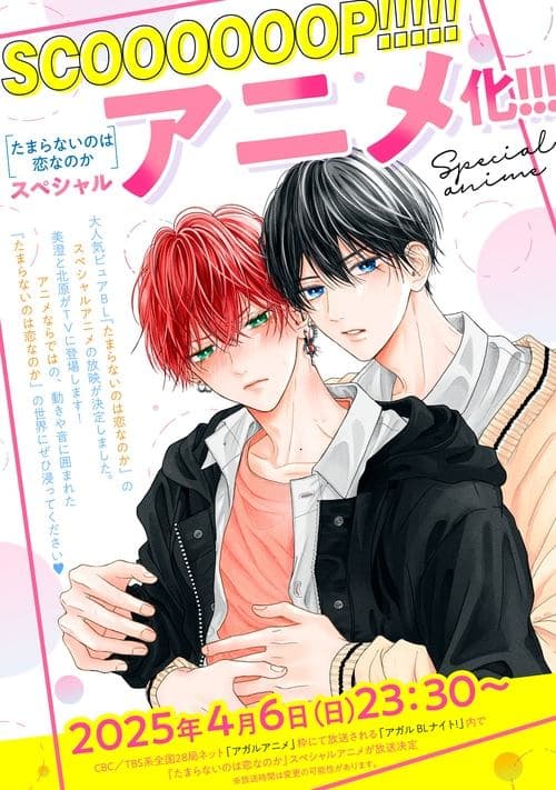 Poster of A Love Too Captivating